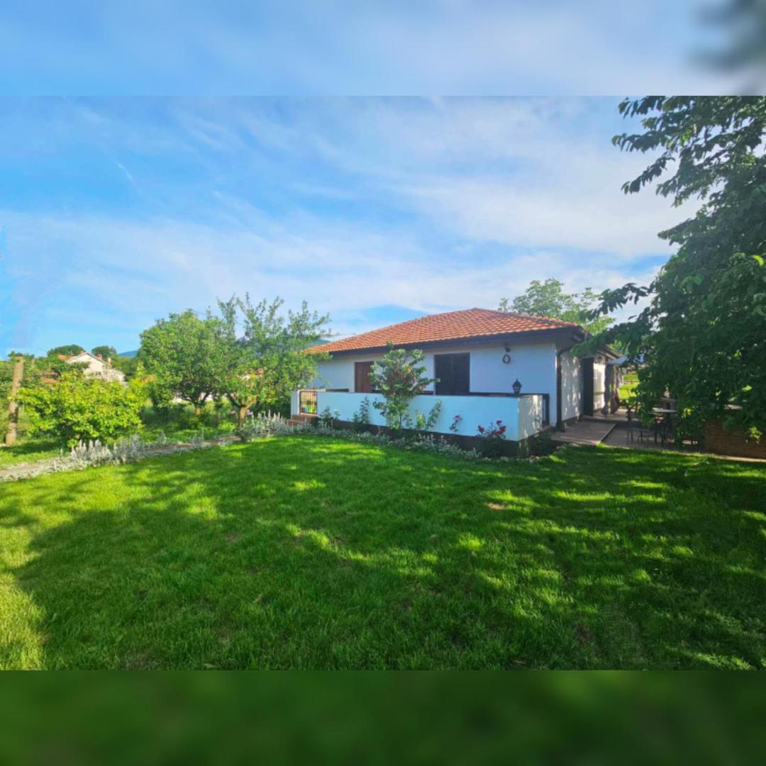 Villa House Milovanovic