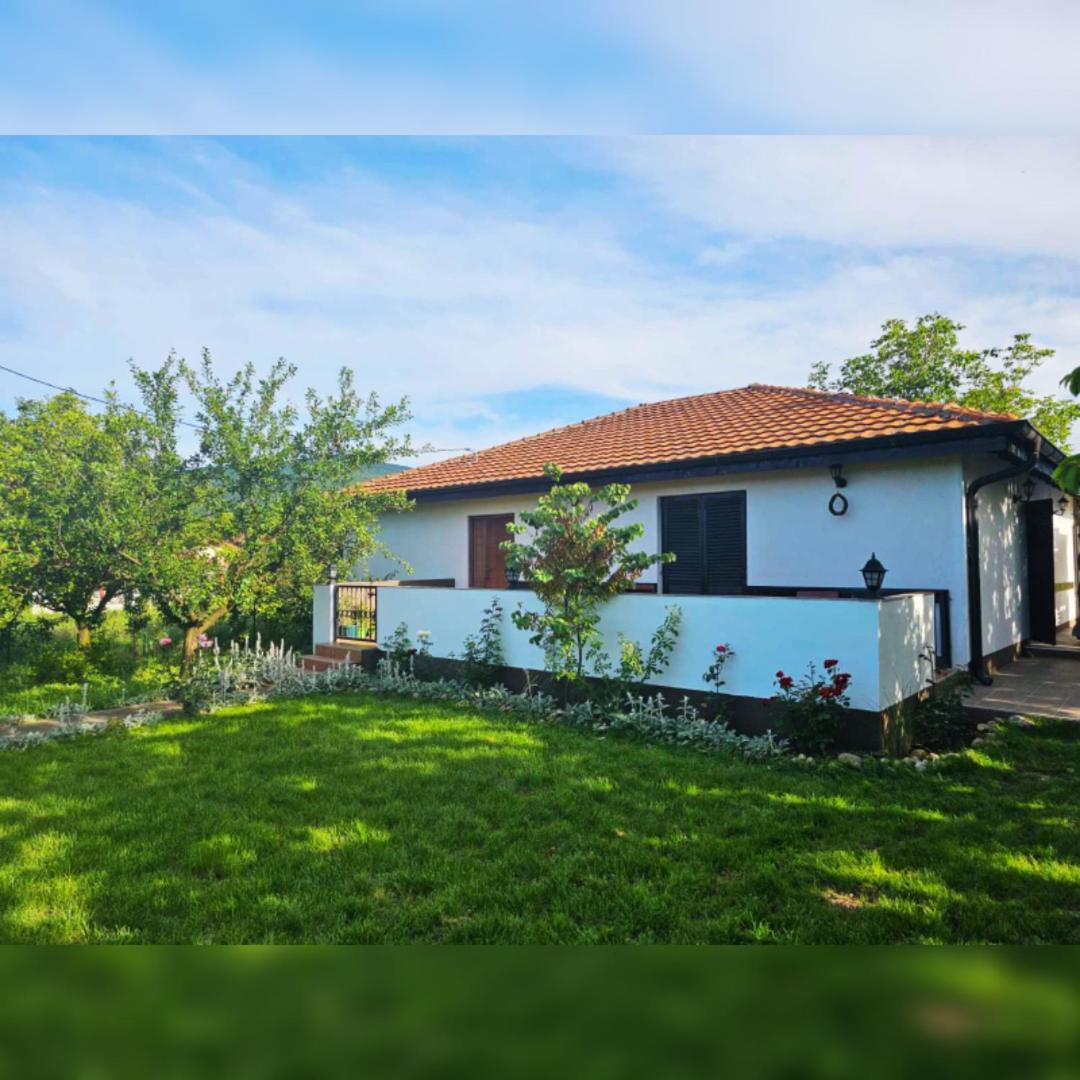 House Milovanovic Villa *