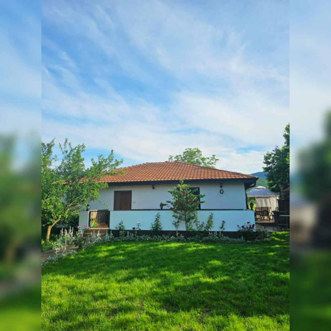 Villa House Milovanovic *
